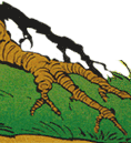 Baumwurzel