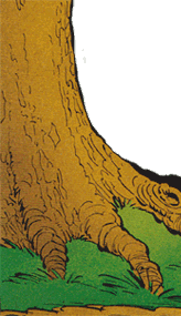 Baumwurzel