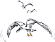 Möwen