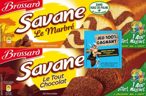 Brossard savane x.jpg