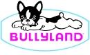 bully_logo.jpg